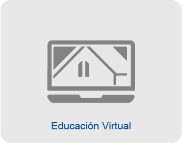 Educación Virtual